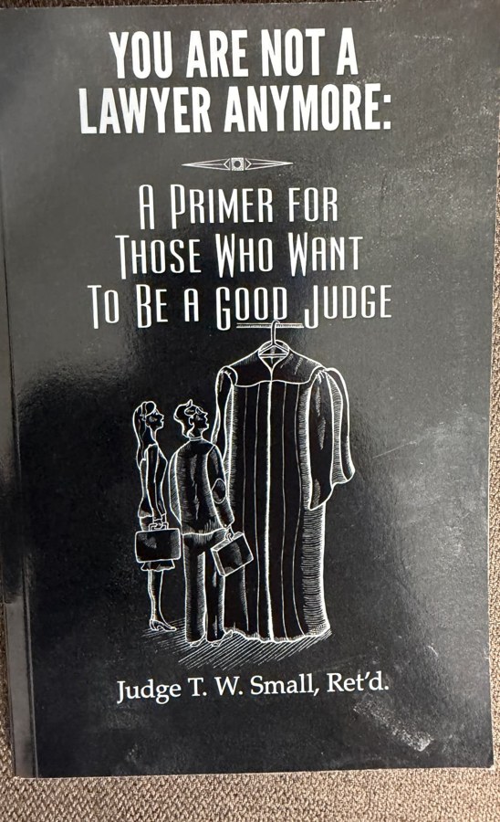 Cover of You Are Not a Lawyer Anymore